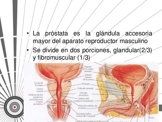 Dieta Prevenimss Epub Download